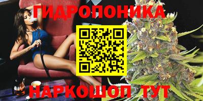твердый Новоалтайск